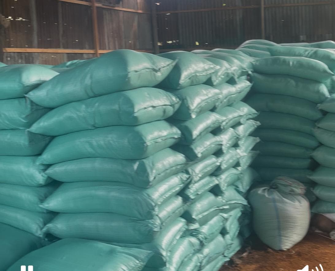 Produk kelapa dan cocopeat siap distribusi